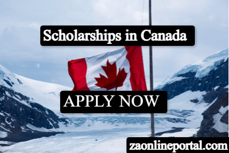 Douglas College International Student Scholarships 2024/2025 | How to Apply